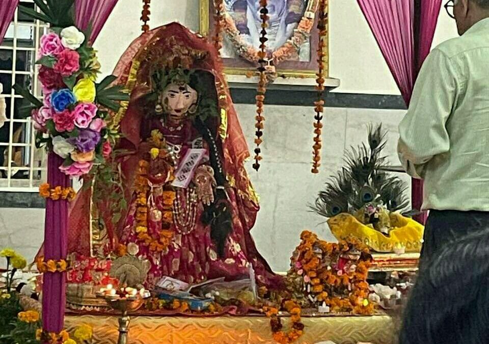 Tulsi Vivah Utsav in Our Mandir