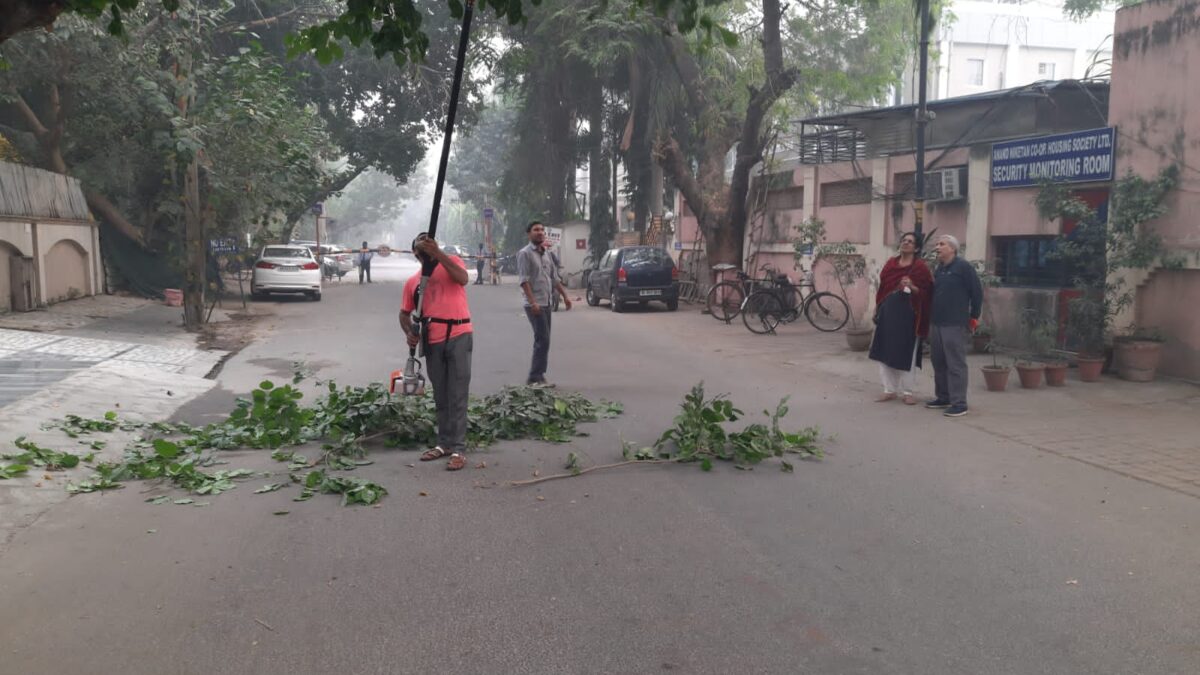 Pruning Rod Gifted to RWA