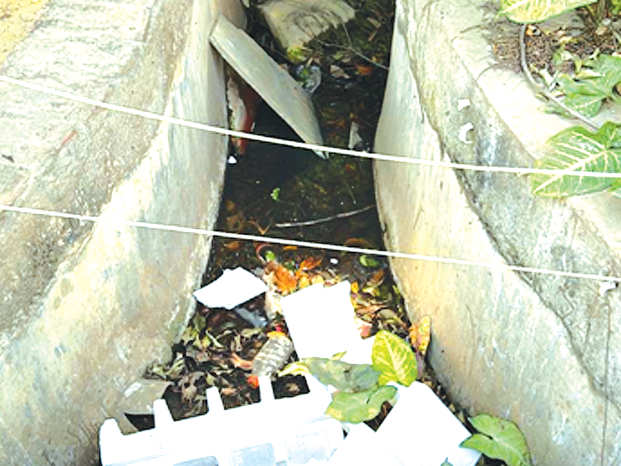 Duping Trash In Drains