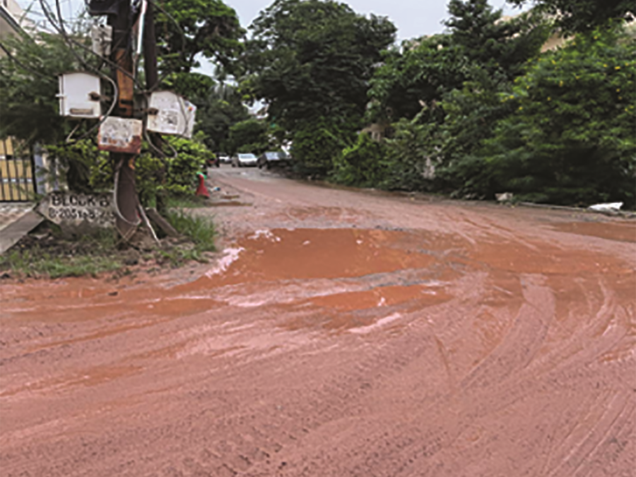 Roads Or A Mesmerizing Red Carpet?